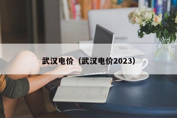 武汉电价（武汉电价2023）